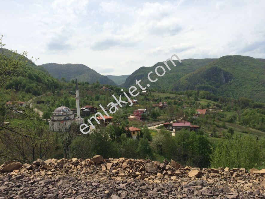 Kocaeli Başiskele Servetiye Cami Köyünde Mükemmel Arsa - Görsel 2