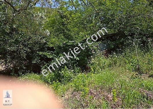 Gemlik Umurbey Satilik Arsa 383m2 Deniz Doga Togg 2910695