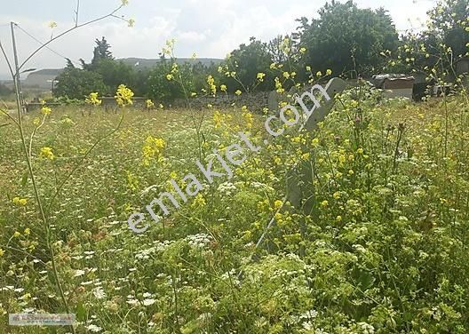 Bayhan Emlak Tan Satılık 560m2 Ticari Kopon Arsa - Görsel 14