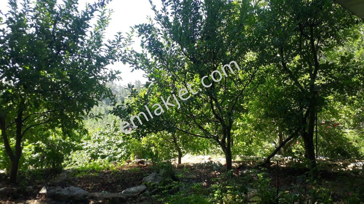 Emlakçıdan Mersin Mezitli Fındıkpınarı Mahallesi 2+1 Satılık Müstakil