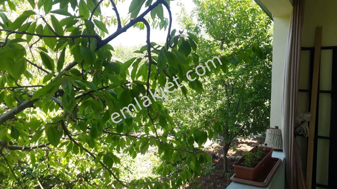 Emlakçıdan Mersin Mezitli Fındıkpınarı Mahallesi 2+1 Satılık Müstakil