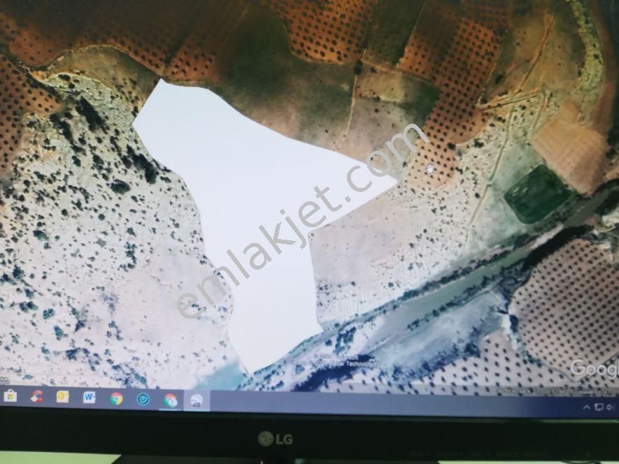 Kilis Musabeyli Gözlüce'de Ges Kapsamında Satılık Arazi