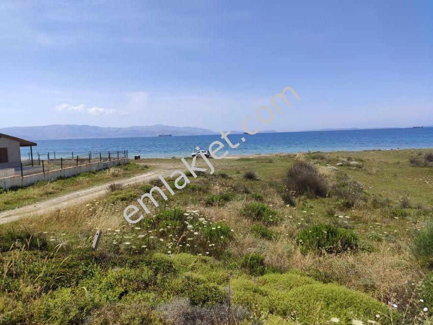 Koyuncu Grouptan Çeşme Güvercinlik Koyunda Denize Sıfır Arsa - Görsel 10