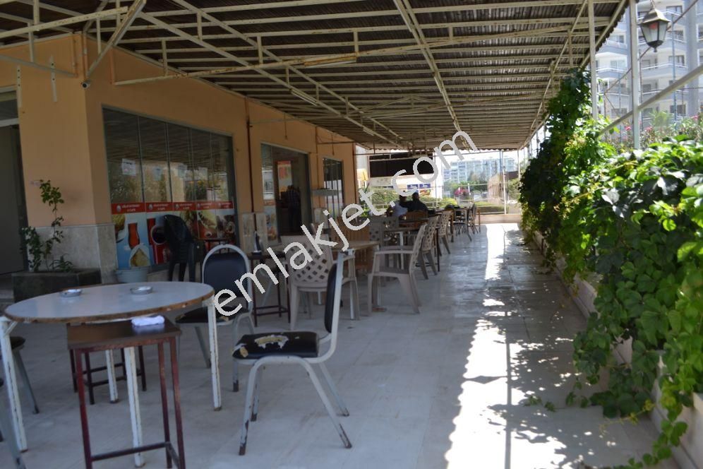 Erzurum Icinde Ikinci El Satilik Satilik Internet Cafe Masa