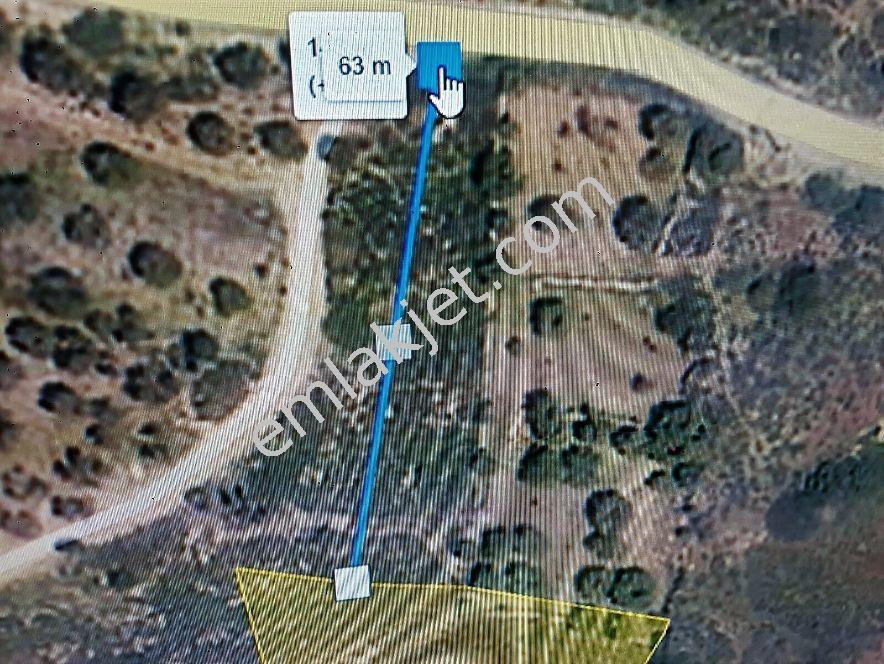 Datça Da Satılık Denize Yakın 2129 M2 Müstakil Tapulu - Görsel 7