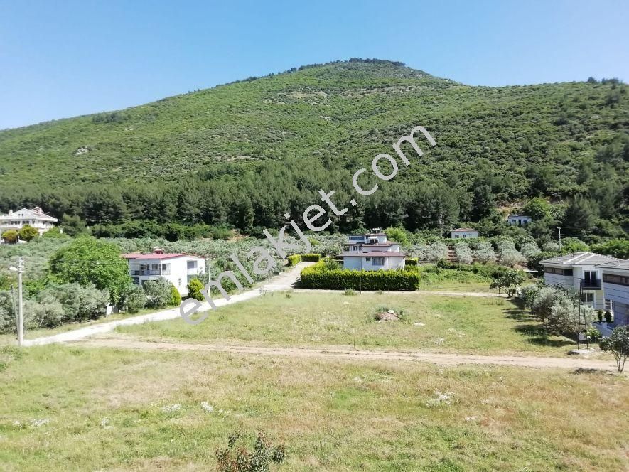 Emlakçıdan Aydın Kuşadası Güzelçamlı Mahallesi 3+1 Kiralık Müstakil 2