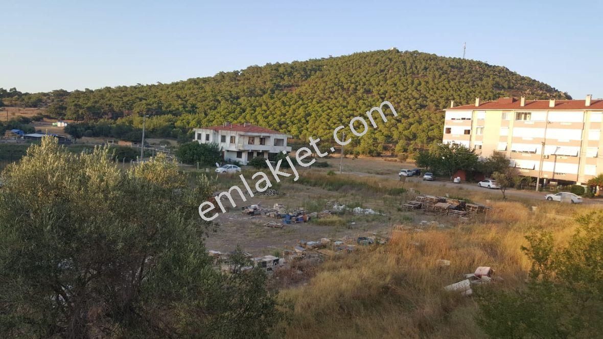 Emlakçıdan Balıkesir Ayvalık Küçükköy Mahallesi 3+1 Satılık Daire 360