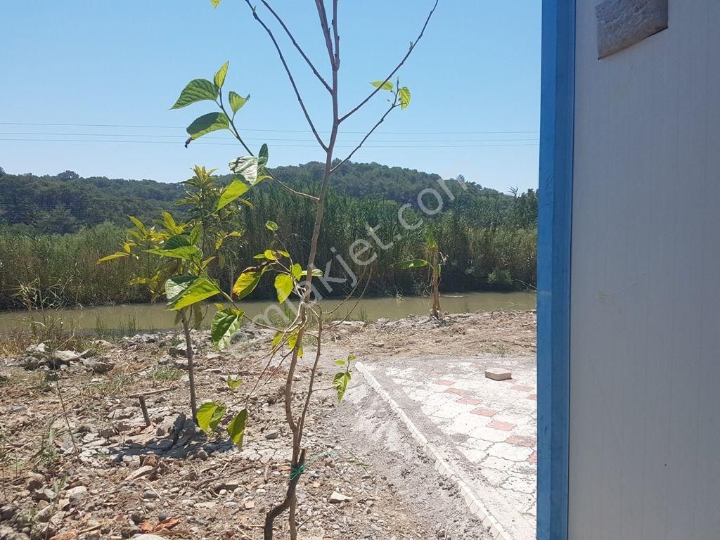 Ortaca Sarıgerme De 5 Yıllık Kiralık Su Kenarı Arazi - Görsel 16