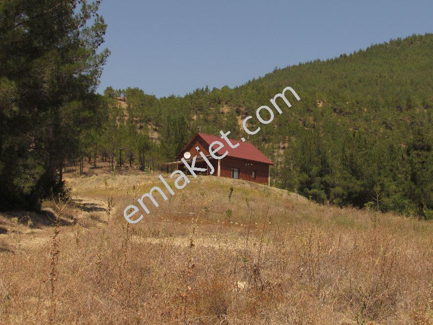 sahibinden sakarya geyve karacaoren mahallesi 2 1 satilik dag evi 350 000 tl 8566974