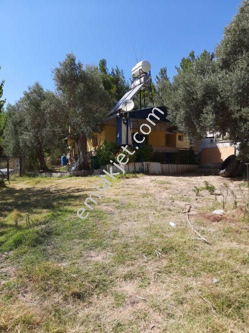 Kemalpaşa Satılık Bahçe