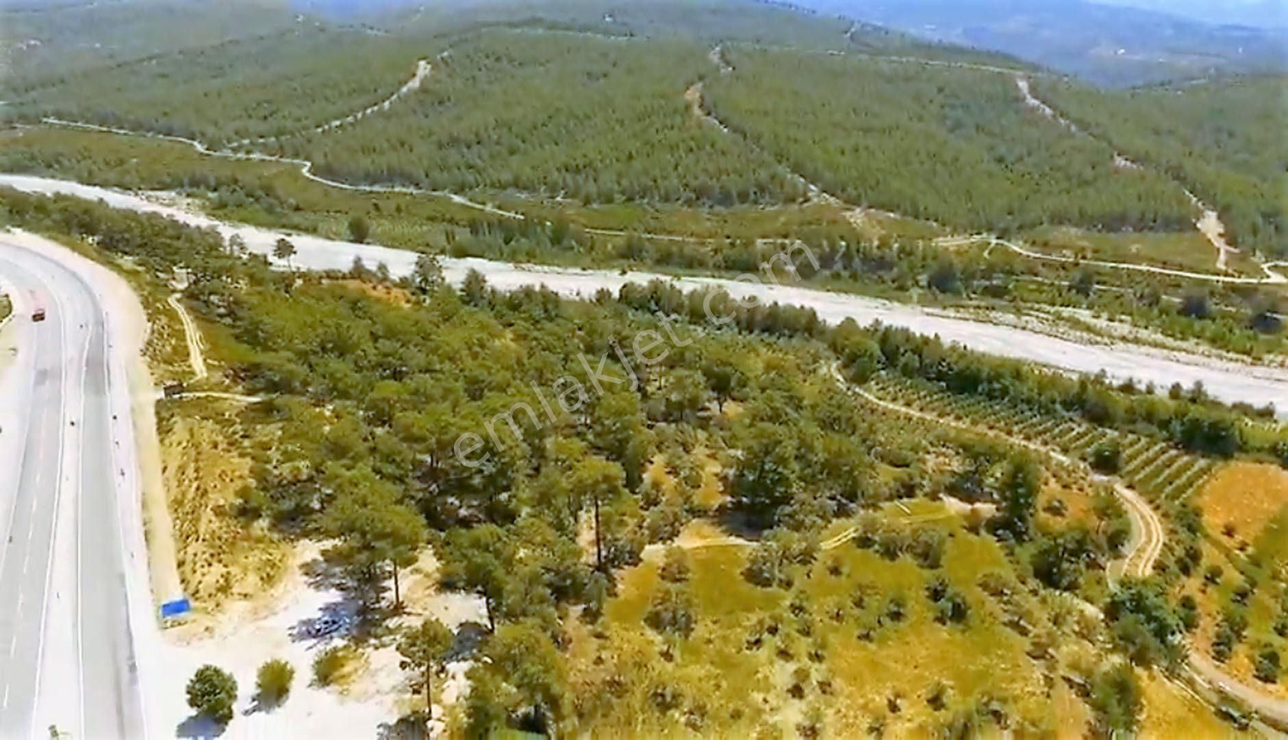 Fethiye Seydikemer Yeni Hastane Karşısı 20 Dönüm Arazi - Görsel 2