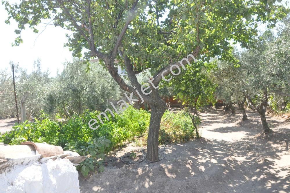 Emlakçıdan Manisa Akhisar Kapaklı Mahallesi 2+1 Satılık Müstakil 239