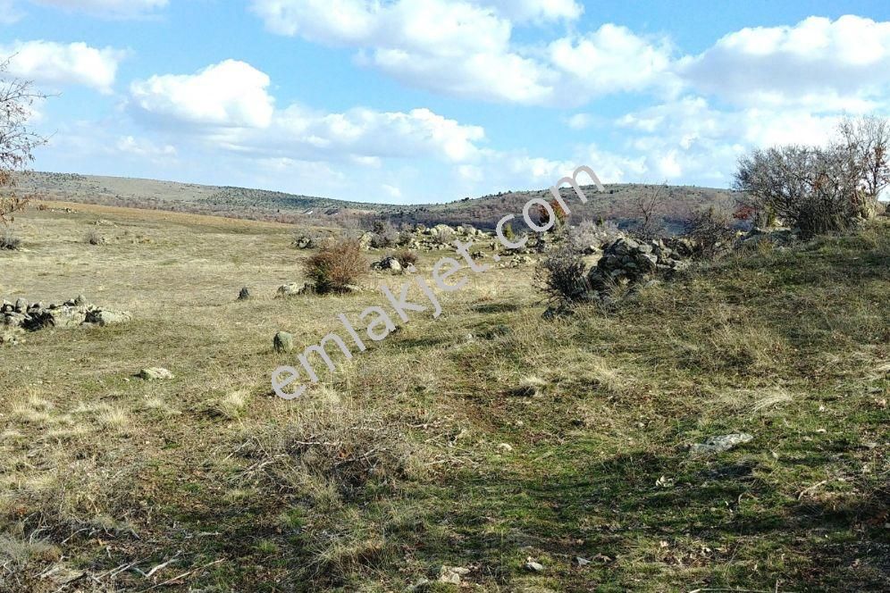 Saglık Mahallesinde Zemini Düz Yatırımlık Gözde Arsa - Görsel 9