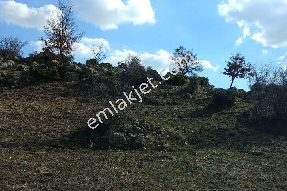 Saglık Mahallesinde Zemini Düz Yatırımlık Gözde Arsa - Görsel 5