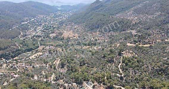 Fethiye İnlice Satılık Zeytinlik Muğla fethiye inlice de deniz manzaralı arazi