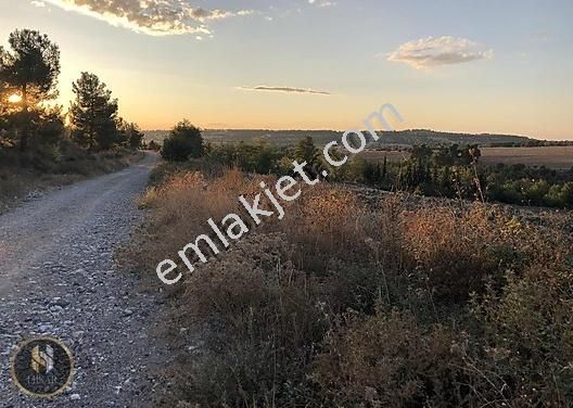 Canakkale Ezine Merkezde Satilik Tarla Satilik Arsa Ilanlari Sahibinden Com Da 567156143
