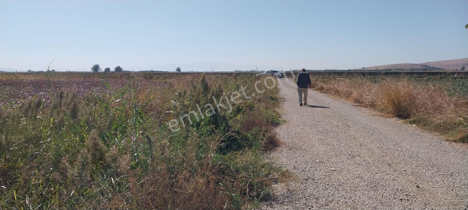 Rose Emlak'tan Satılık Kupon Arazi - Görsel 2