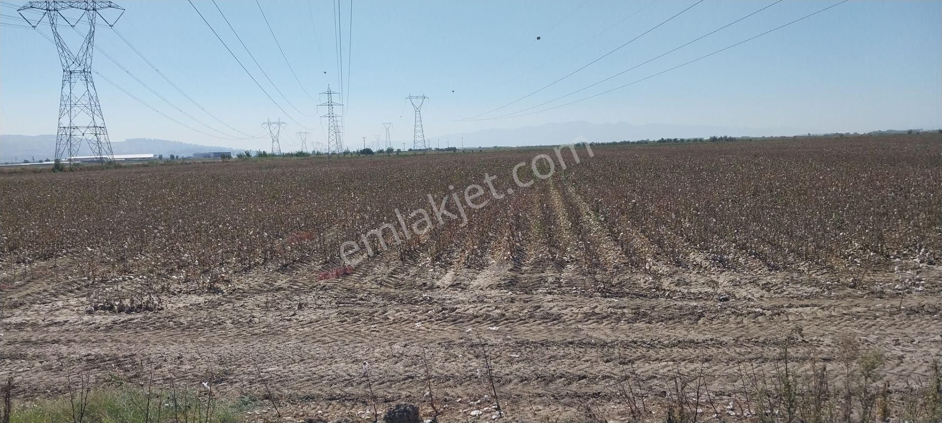 Rose Emlak'tan Satılık Kupon Arazi - Görsel 12