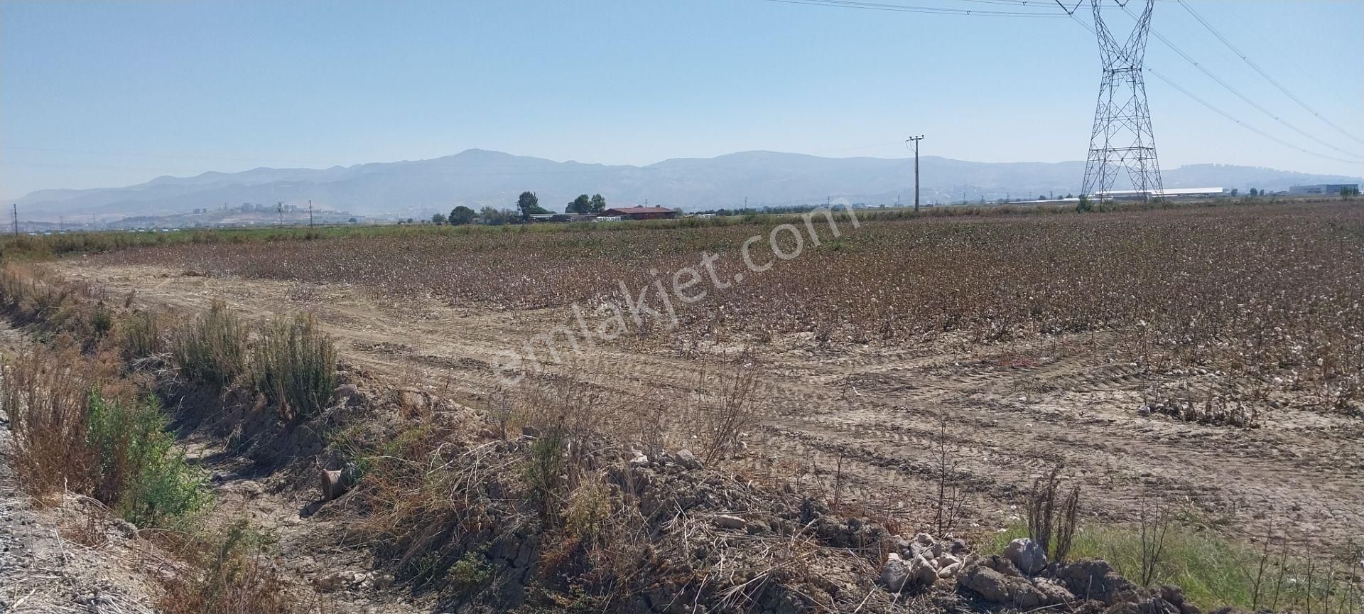 Rose Emlak'tan Satılık Kupon Arazi - Görsel 13