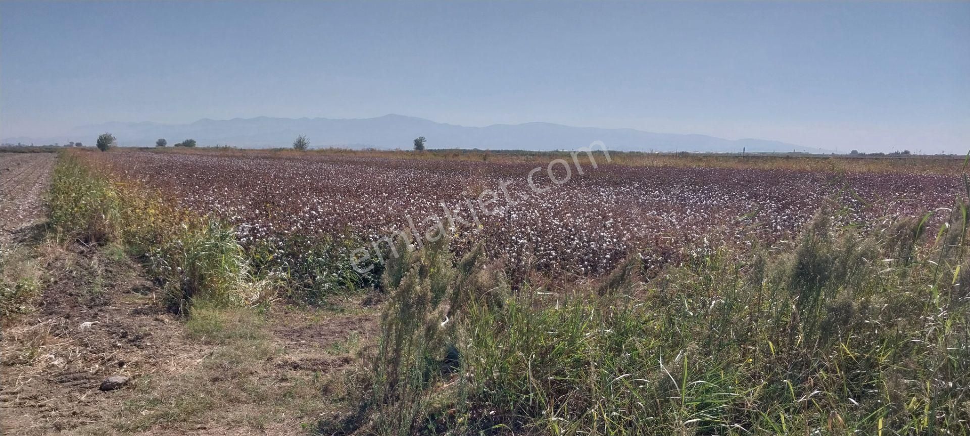 Menemen Kesik Satılık Tarla ROSE EMLAK'TAN SATILIK KUPON ARAZİ