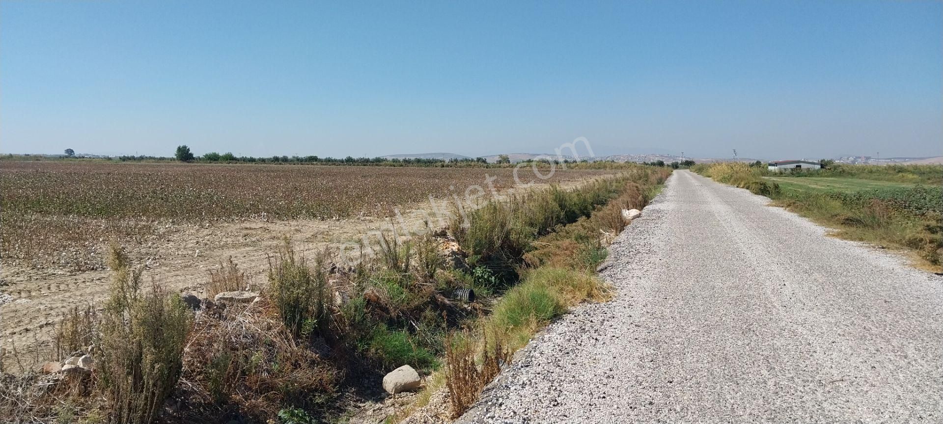 Rose Emlak'tan Satılık Kupon Arazi - Görsel 7