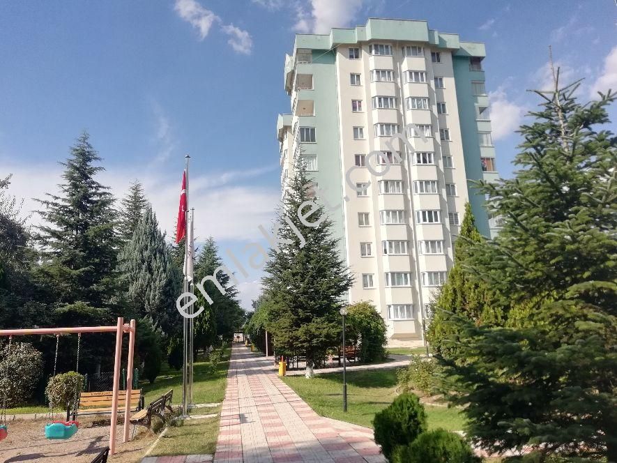 Ankara Etimesgut İstasyon Mahallesi Kiralık Daire İlanları ve Satılık