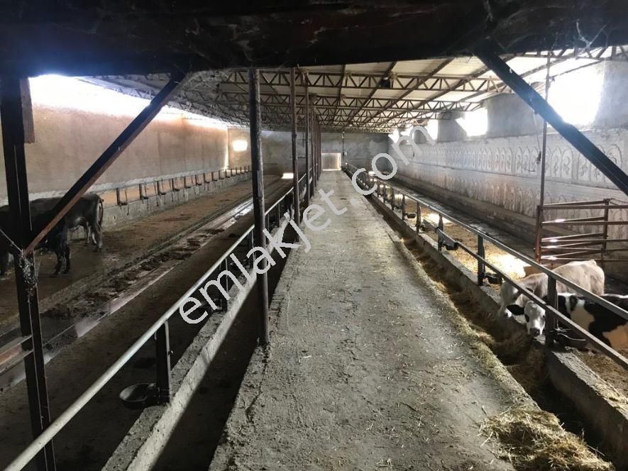 ankara kiralik ciftlik emlakjet