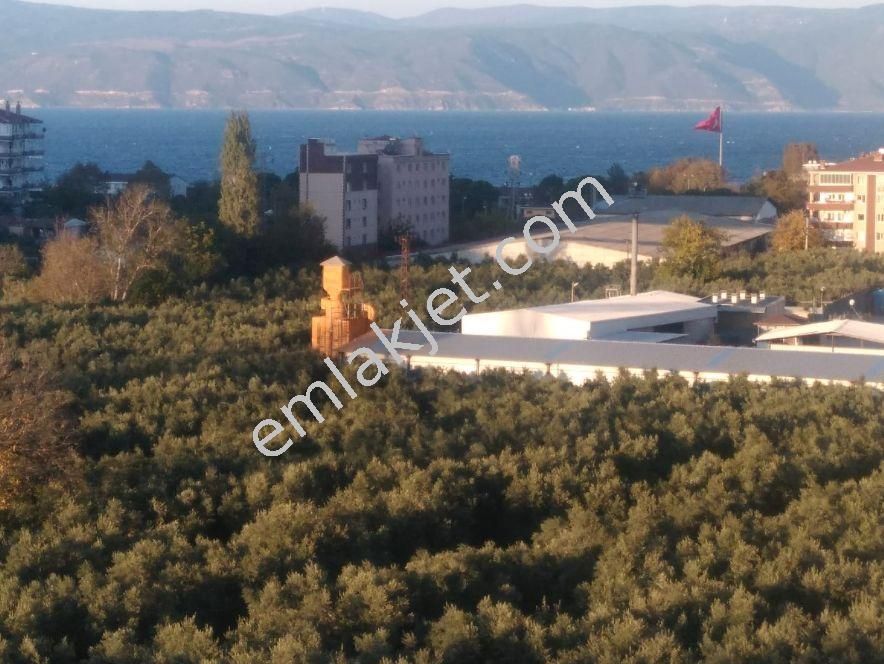 Emlakçıdan Bursa Mudanya Yeni Mahallesi 3+1 Kiralık Daire 1.800 TL 8900723