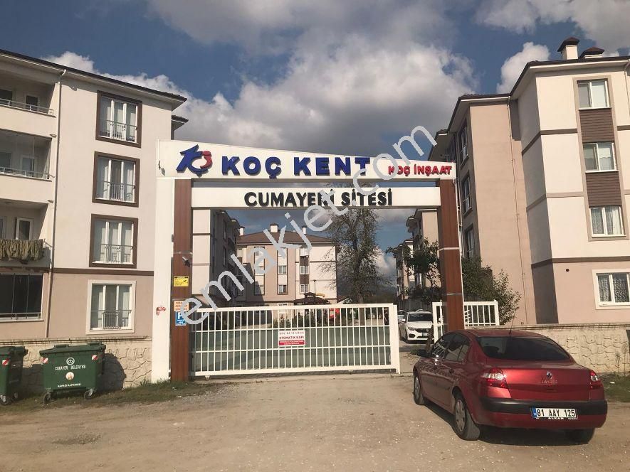 Düzce Cumayeri Satılık Daire İlanları ve Düzce Cumayeri Kiralık Ev