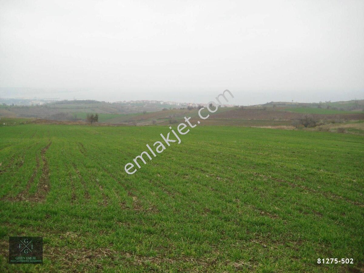 emlakcidan tekirdag malkara hacievhat mahallesi satilik tarla 3 140 000 tl 8940285