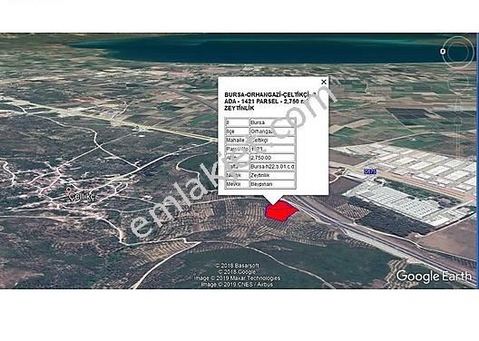 Orhangazi Çeltikçi'de Göl Manzaralı Yola Cephe Zeytinlik - Görsel 6