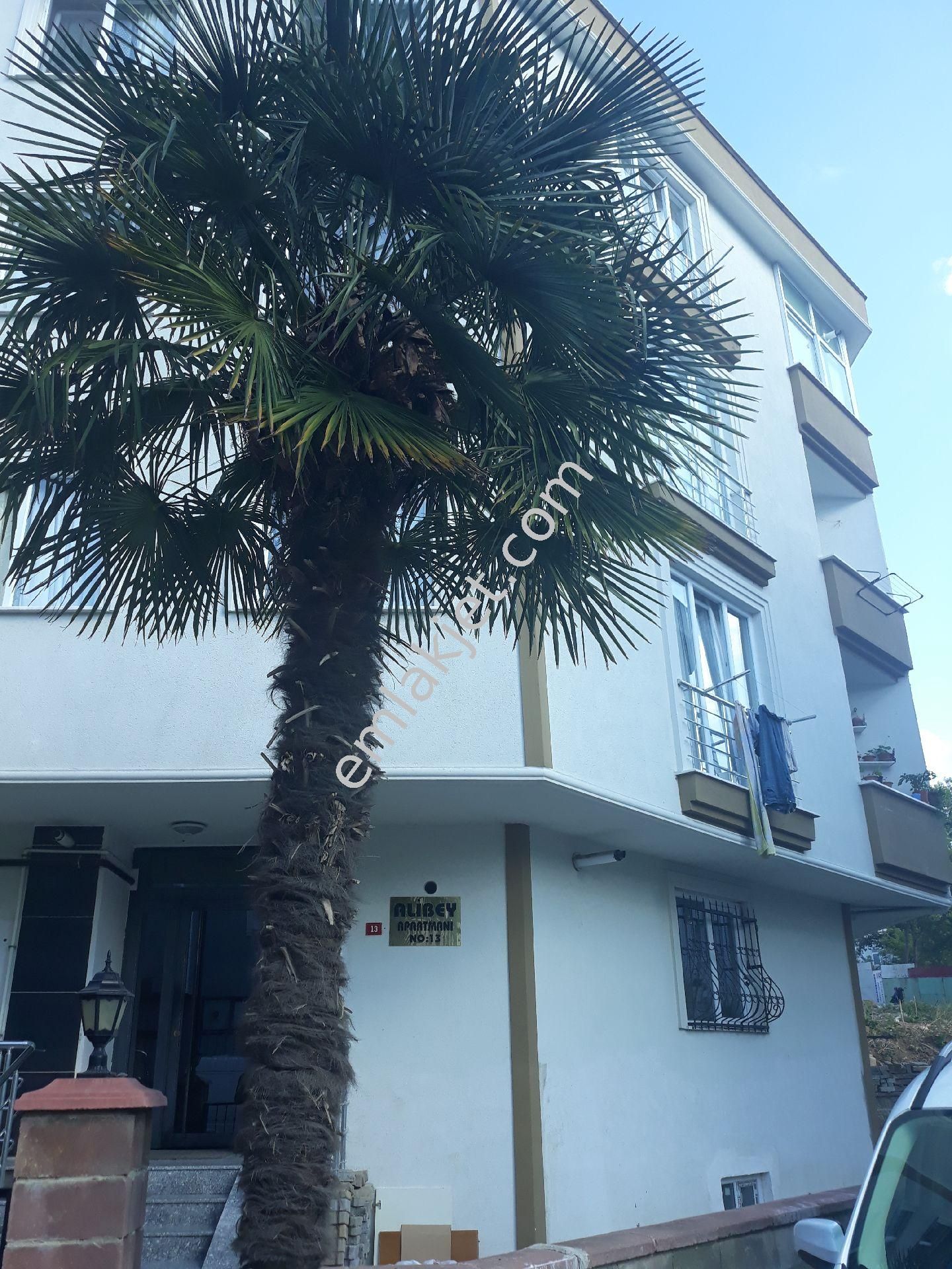 Emlakcidan Istanbul Umraniye Asagi Dudullu Mahallesi 1 1 Kiralik Daire 1 000 Tl 8941325