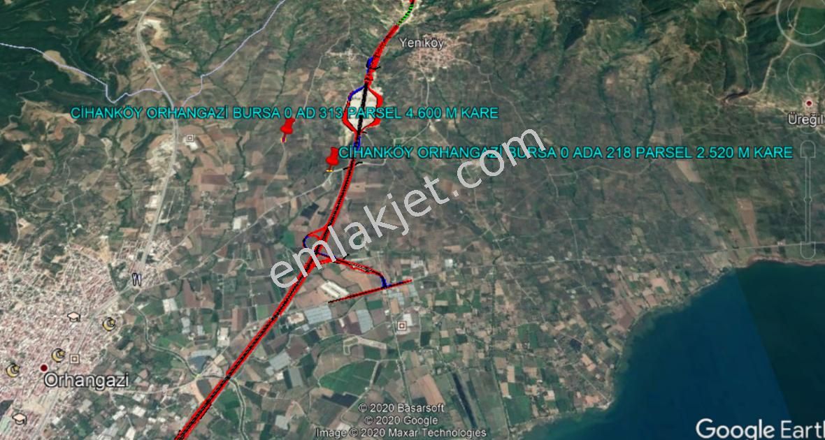 Orhangazi Yeniköy Üreğil Köyü Asfaltına Cephe Zeytinlik - Görsel 2