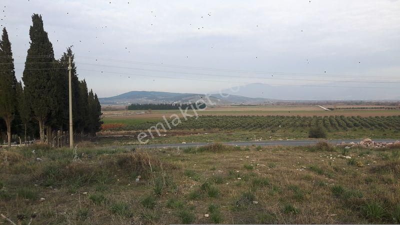 Menemen Maltepede Kiralık Arsa - Görsel 9