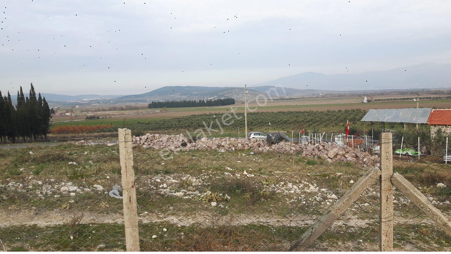 Menemen Maltepede Kiralık Arsa - Görsel 3