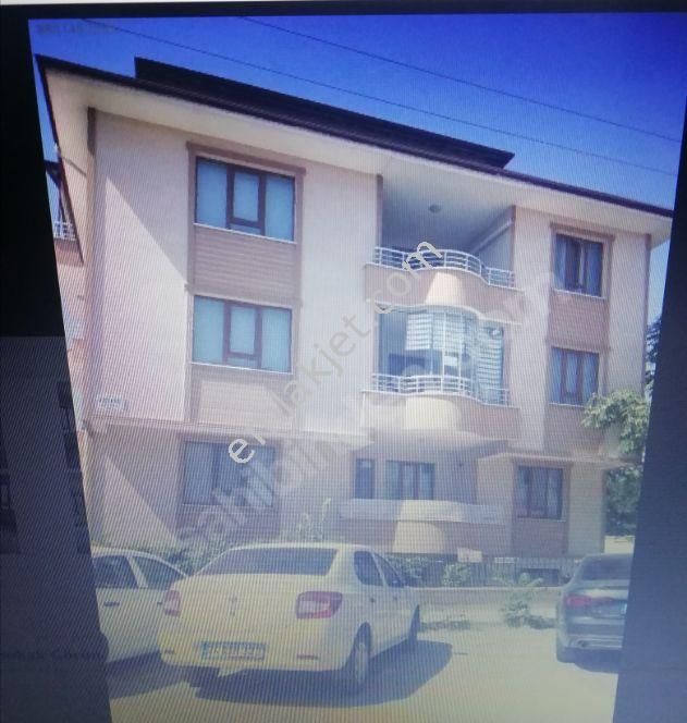 Erzincan Kiralık Daire İlanları ve Fiyatları