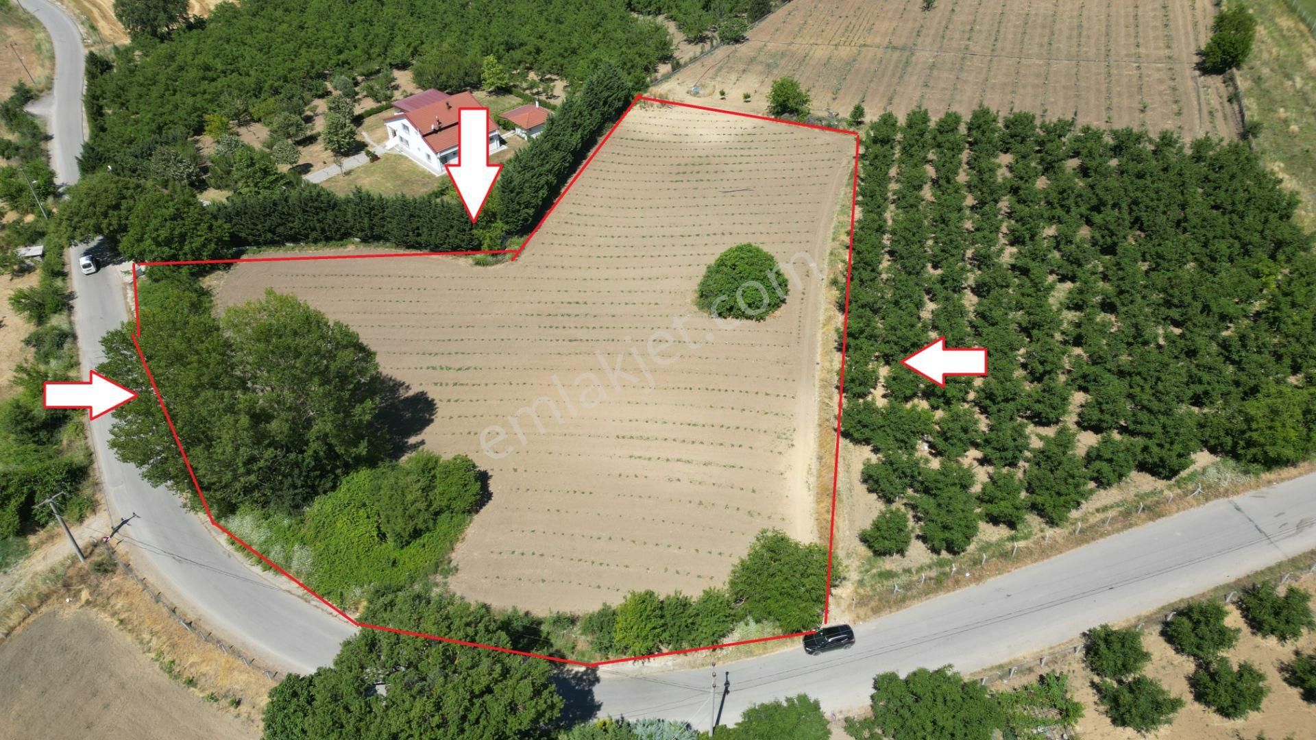 Kocaeli Karamürsel İnebeyli'de Satılık 7000 M2 Tarla