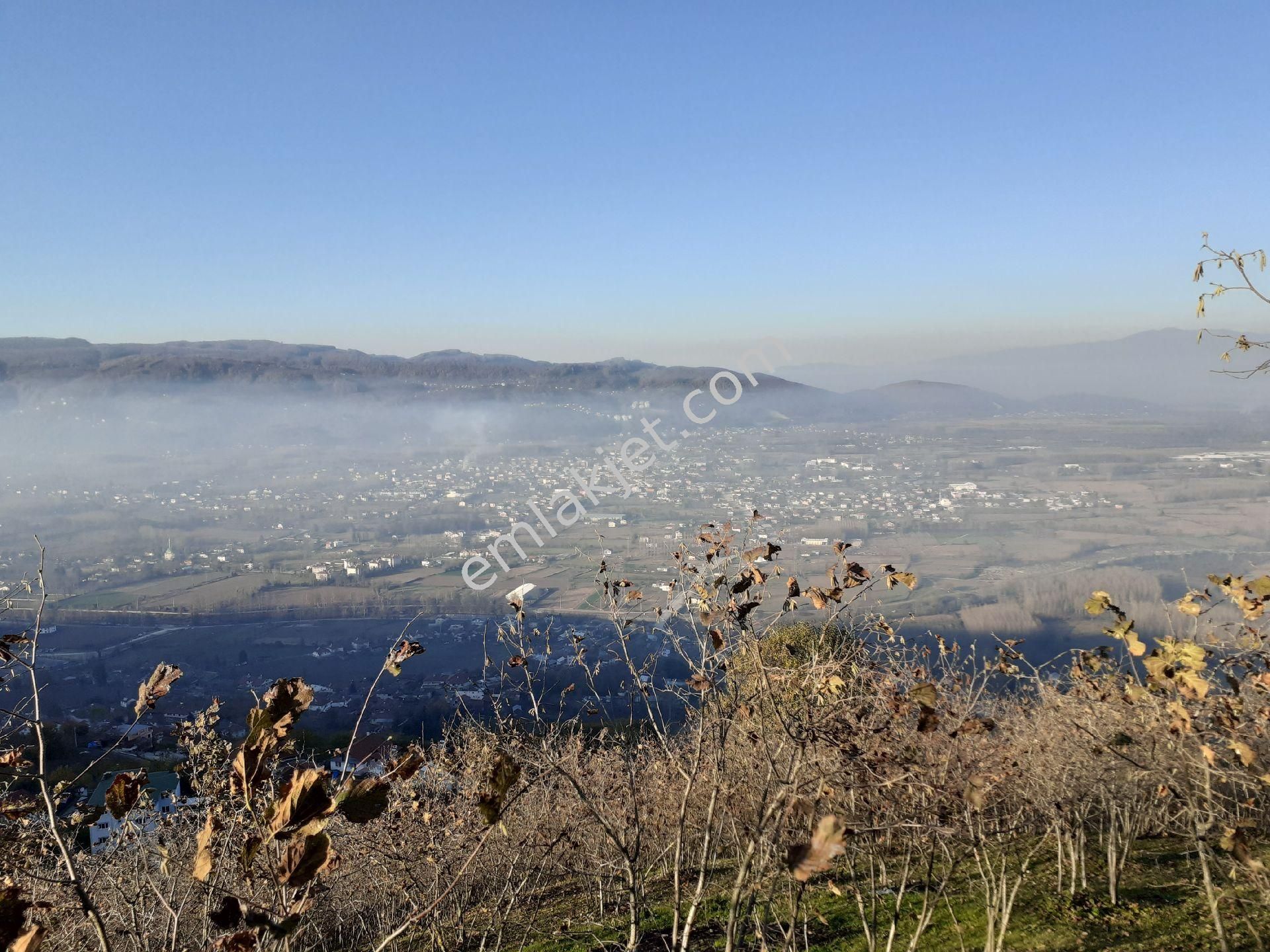 Duzce Satilik Bahce Ilanlari Ve Fiyatlari