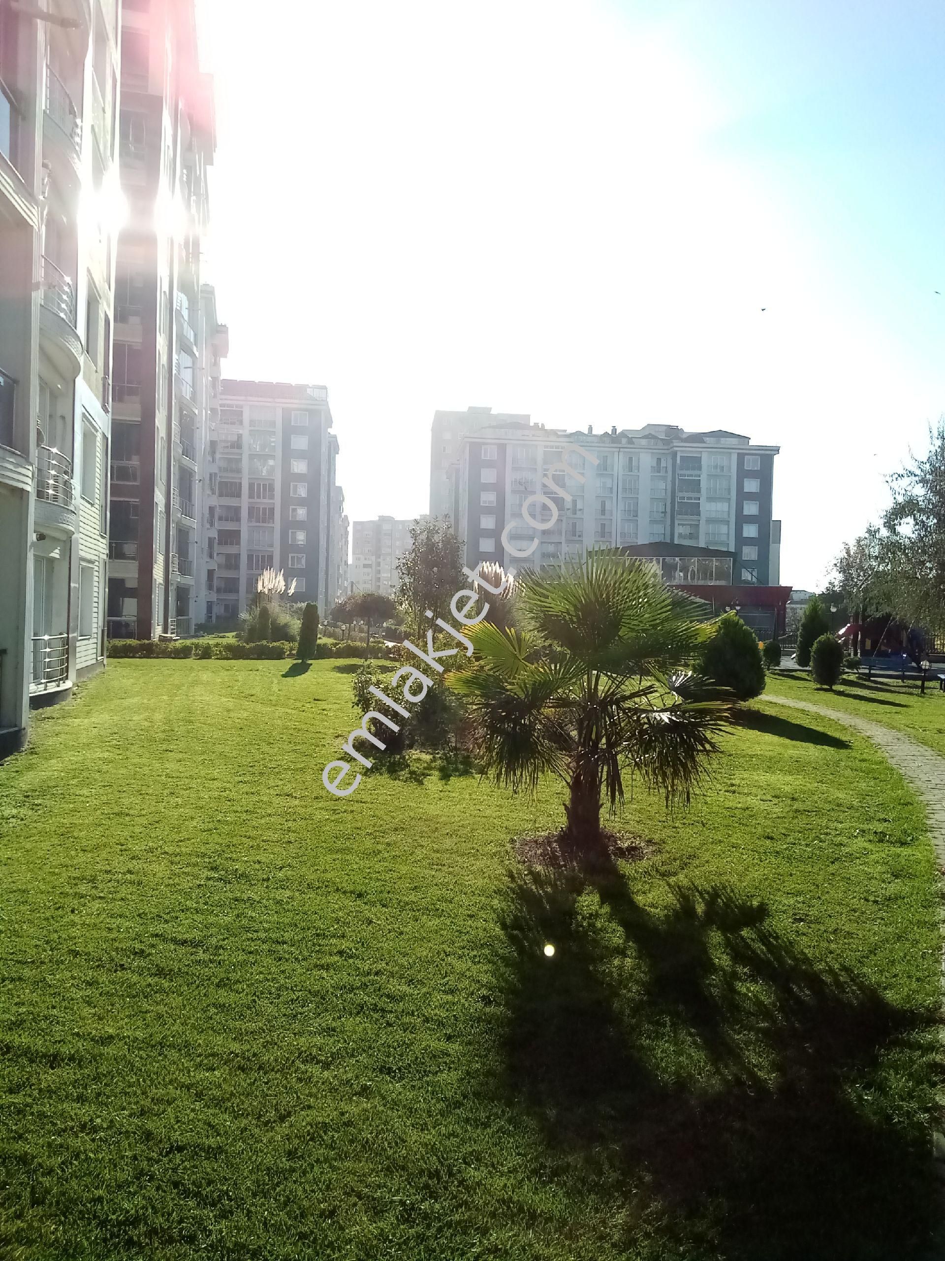 İstanbul Beylikdüzü Kiralık Ev Sayfa 13 Emlakjet