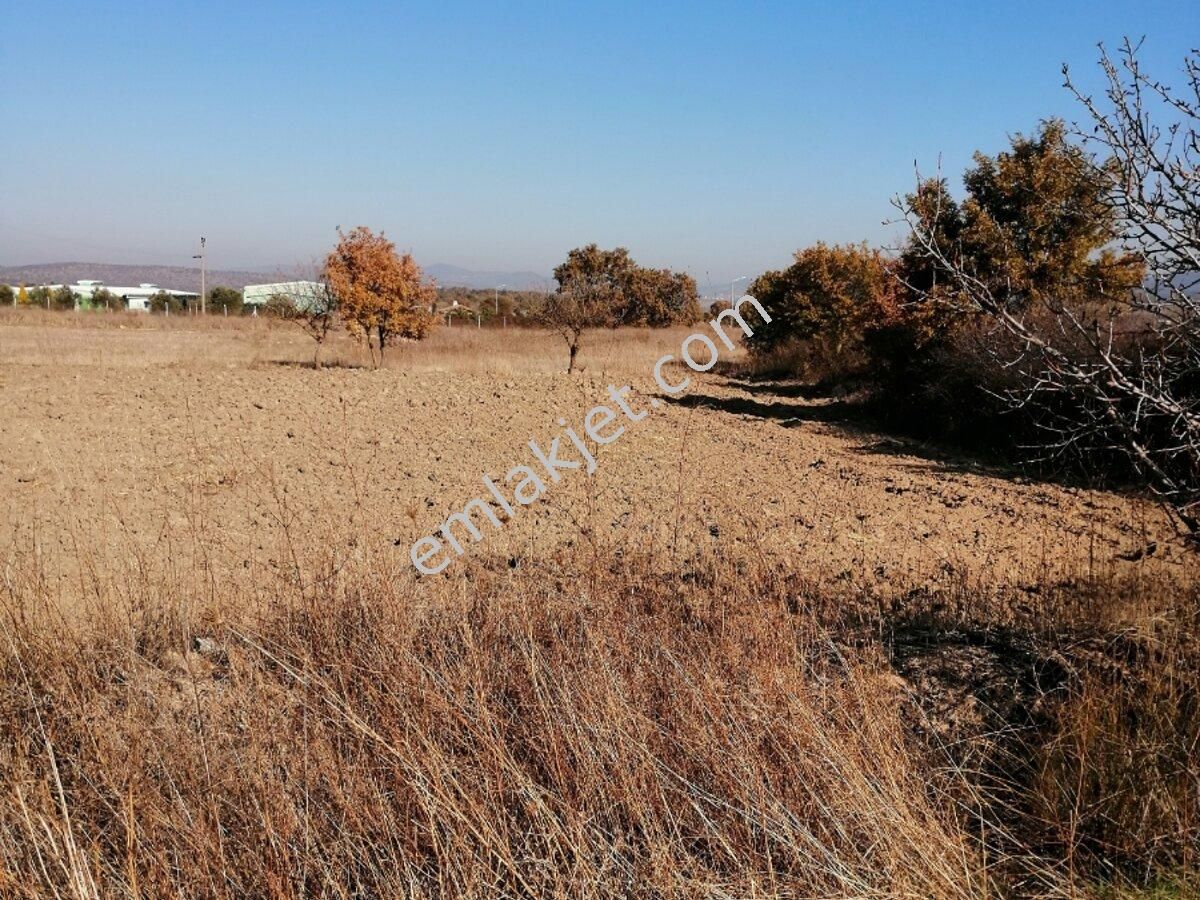 emlakcidan manisa yunusemre osmancali mahallesi satilik tarla 310 000 tl 9002650