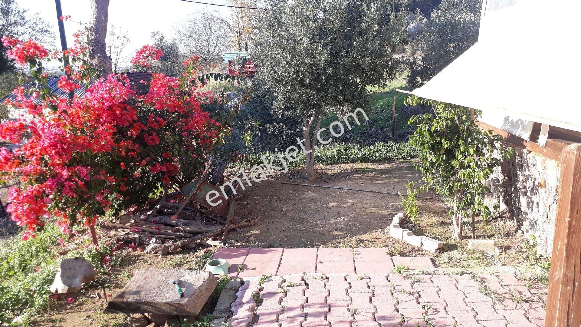 Emlakçıdan Antalya Manavgat Kısalar Mahallesi 1+1 Satılık Köy Evi 450.