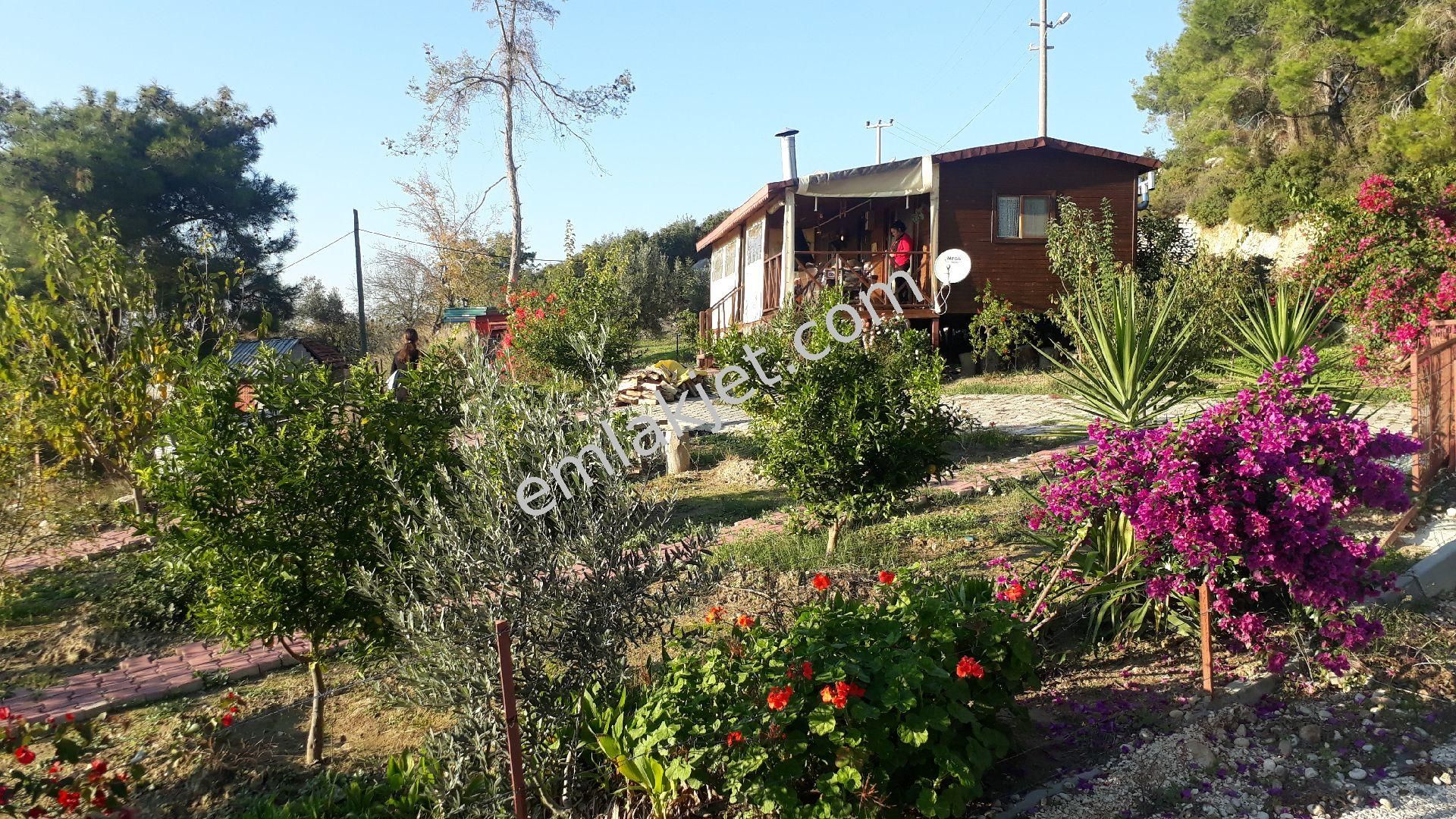 Emlakçıdan Antalya Manavgat Kısalar Mahallesi 1+1 Satılık Köy Evi 450.