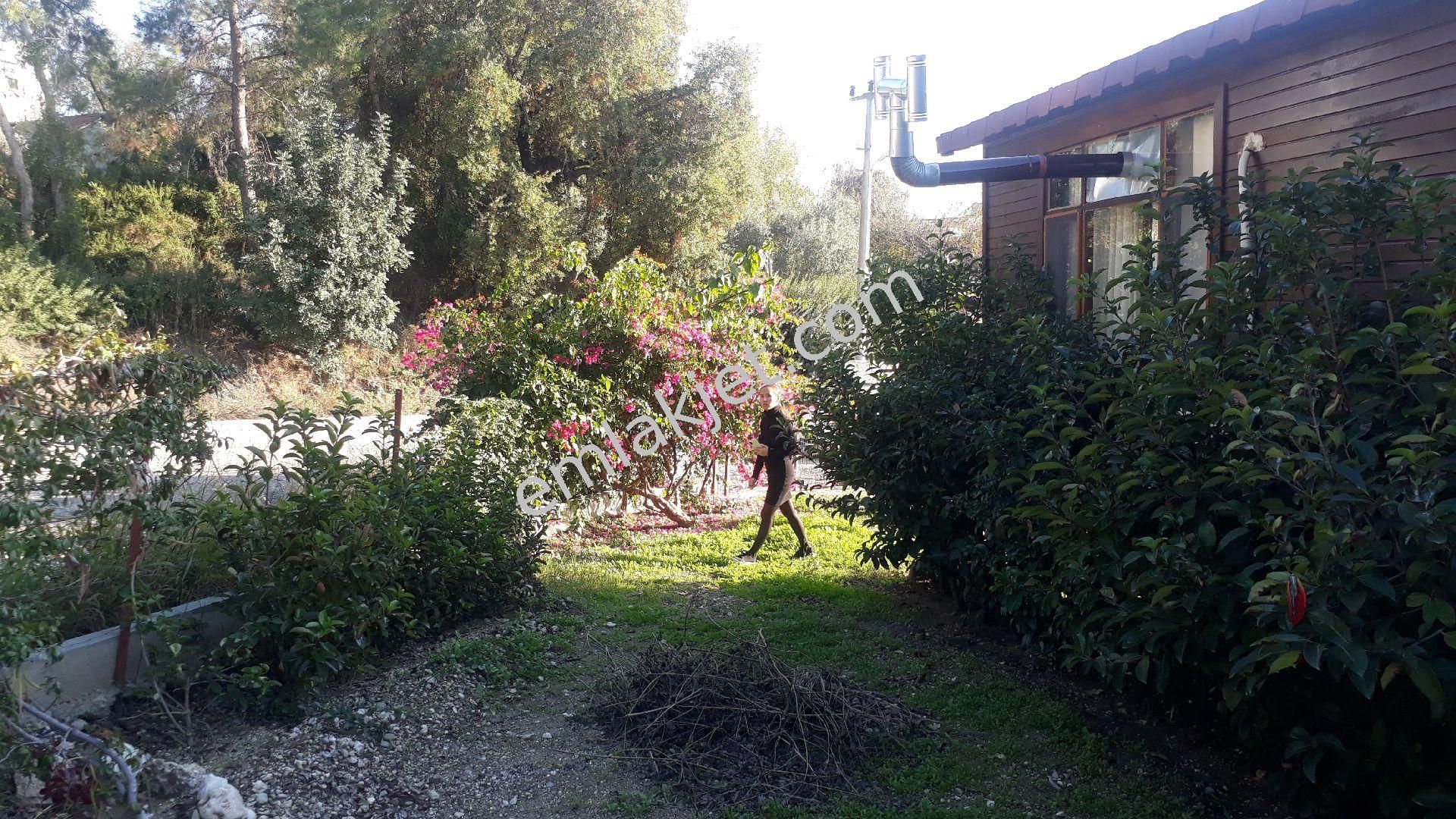 Emlakçıdan Antalya Manavgat Kısalar Mahallesi 1+1 Satılık Köy Evi 450.