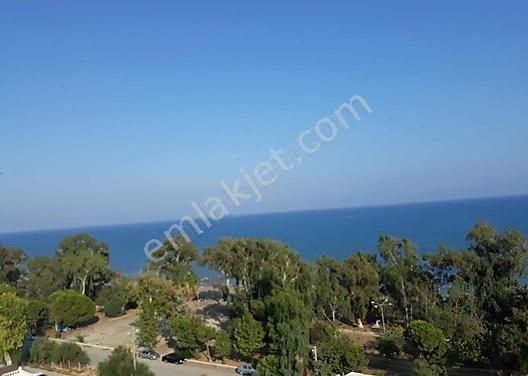 Mersin Mezitli Gunluk Kiralik Daire Ilanlari Ve Fiyatlari