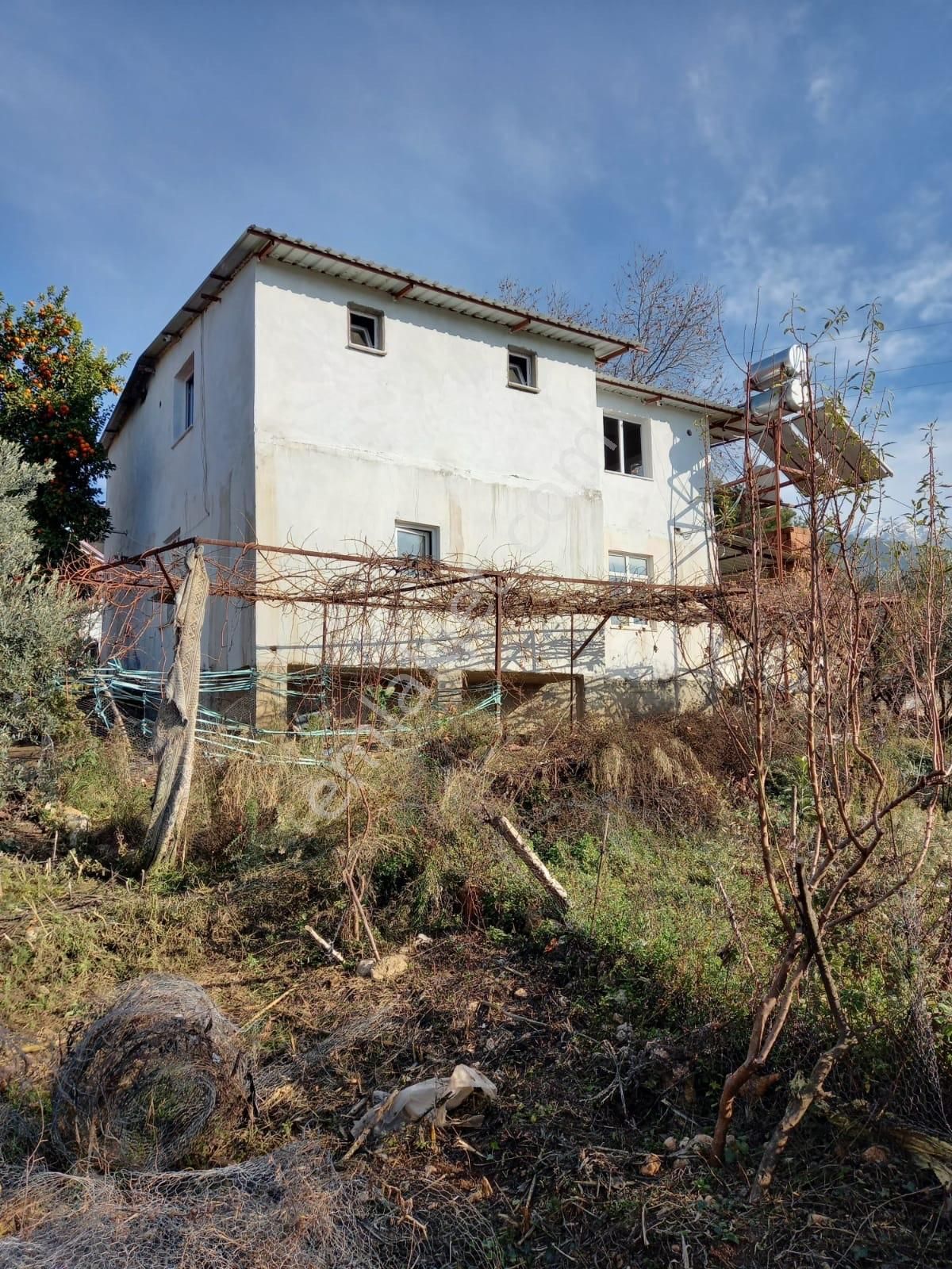 Muğla Satılık Köy Evi İlanları ve Fiyatları