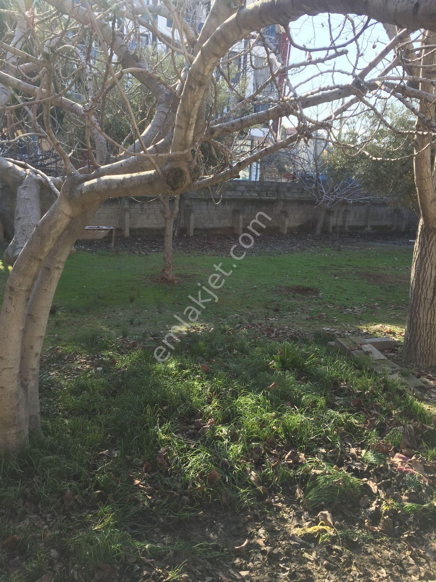 Sahibinden Pamukkale Akhanda Denizli Ankara Anayol Üzeri 777 M2 Sat. Ticari+konut Arsa - Görsel 6