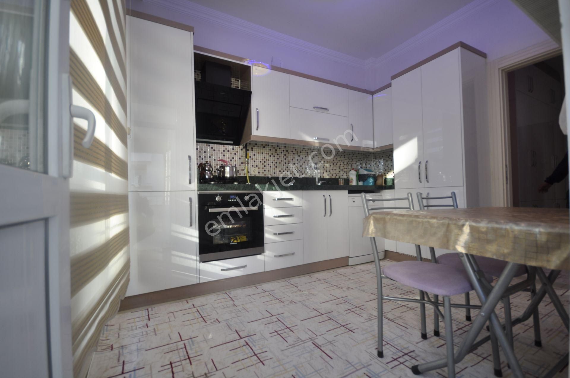 renk mesru lamba 256nolu kot numarasi simonasphotography com