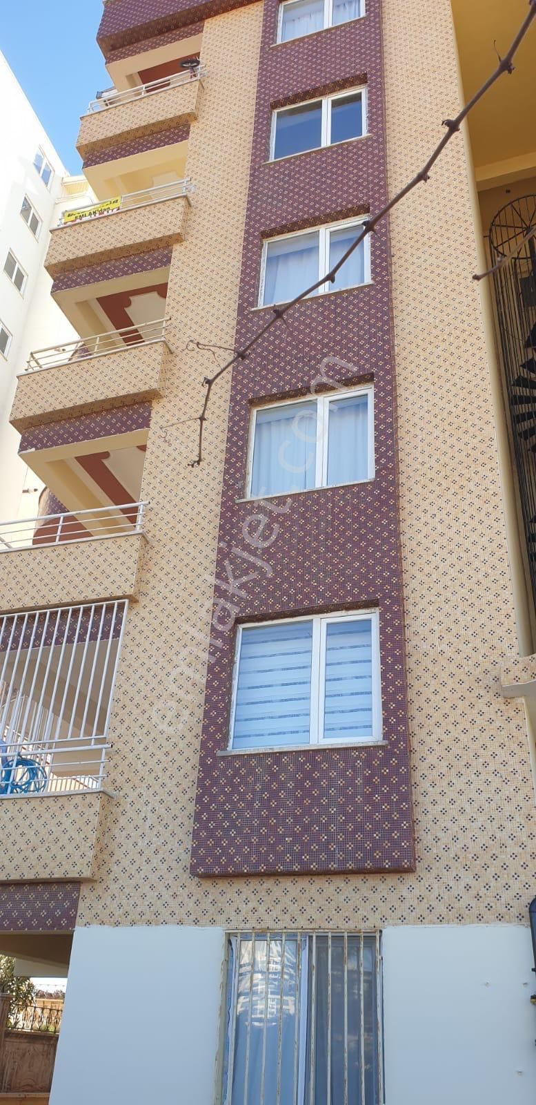 Şanlıurfa Karaköprü Mehmetçik Mahallesi Kiralık Daire İlanları ve