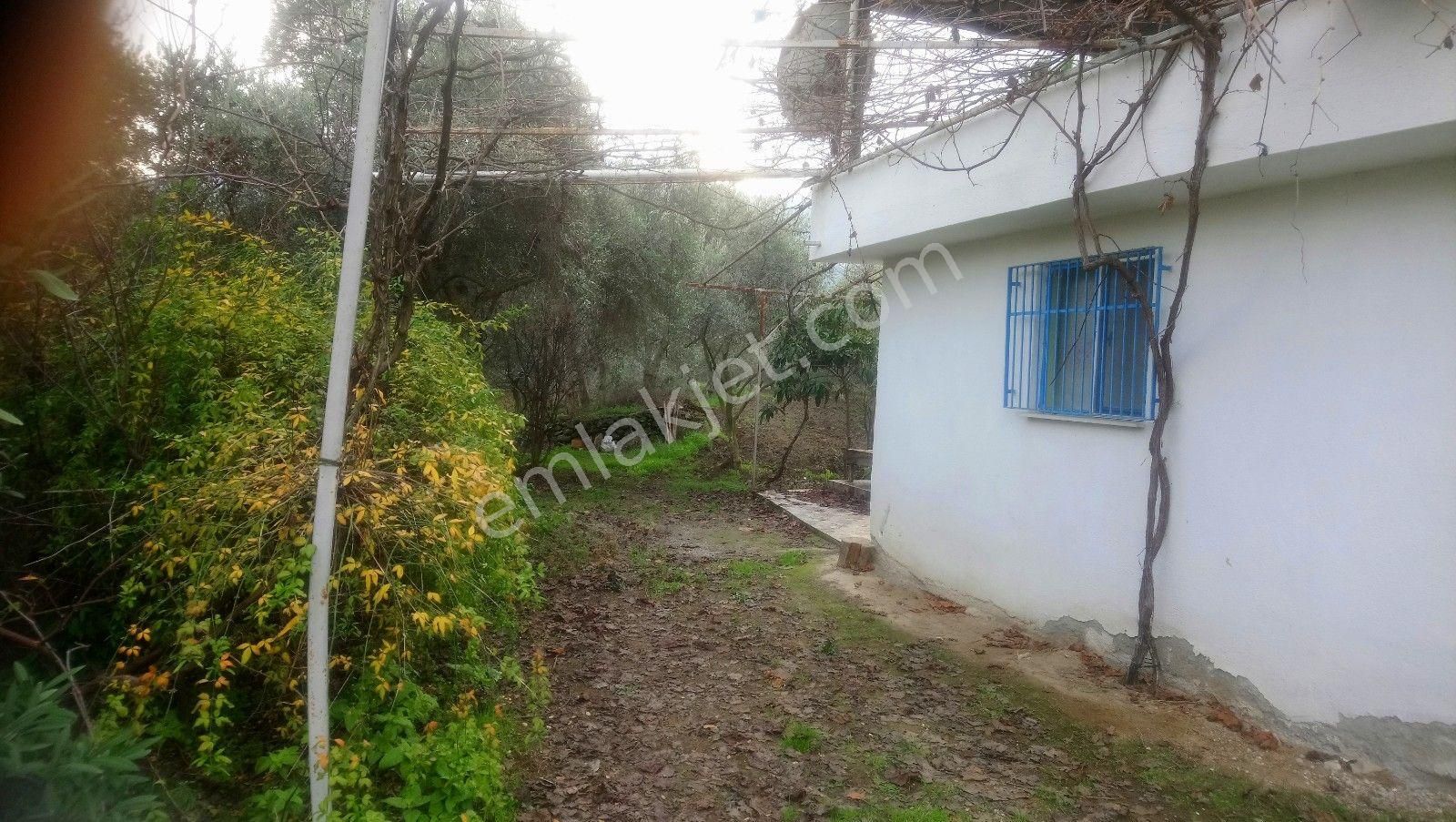 Emlakcidan Aydin Bozdogan Eymir Mahallesi Satilik Bag Bahce 700 000 Tl 9158493