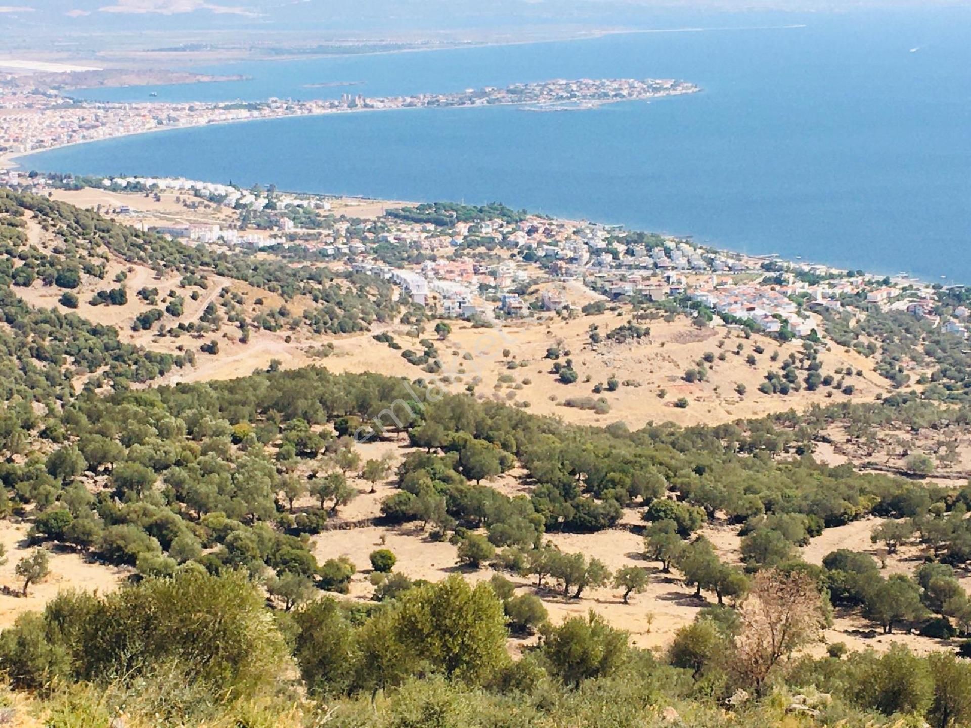 emlakcidan izmir dikili candarli mahallesi satilik villa imarli 550 000 tl 9238169